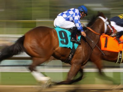 ARCADIA, CA - FEB 5  Mr  Monkey Jones  Victor Espinoza up  icompetes in a claiming race at Santa Anita Park on Feb 5, 2011 in Arcadia, CA